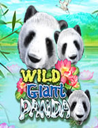 รีวิว ufabet1 20 รับ 100 เกมสล็อตที่ไม่ควรพลาด!